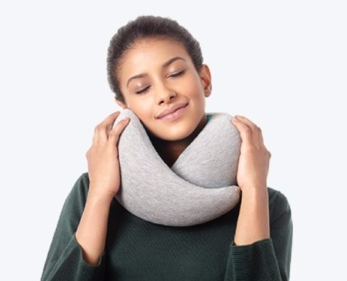 Travelling Ostrich Pillow